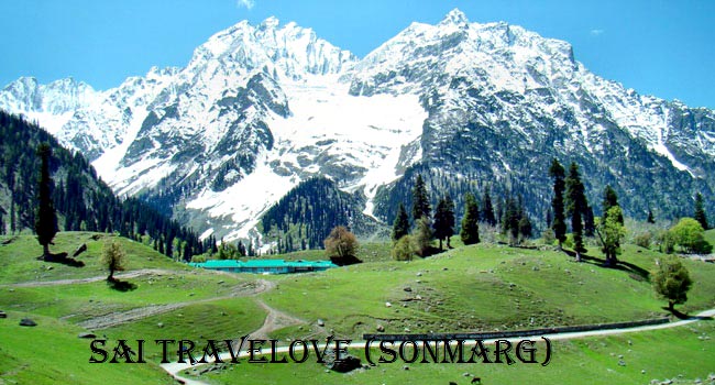 786 Srinagar 5Night & 6 Days Tour