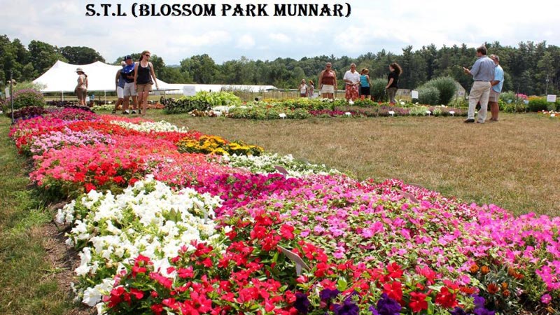 796 Munnar (2) Thekkady (1) Tour