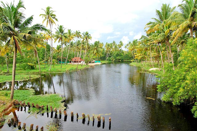 797 Cochin (1) Thekkady (2) Tour