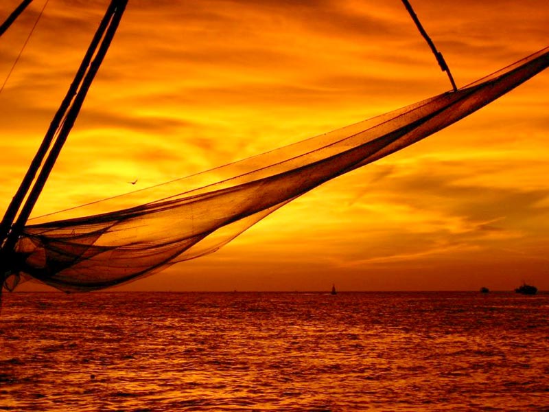 797 Cochin (1) Thekkady (2) Tour