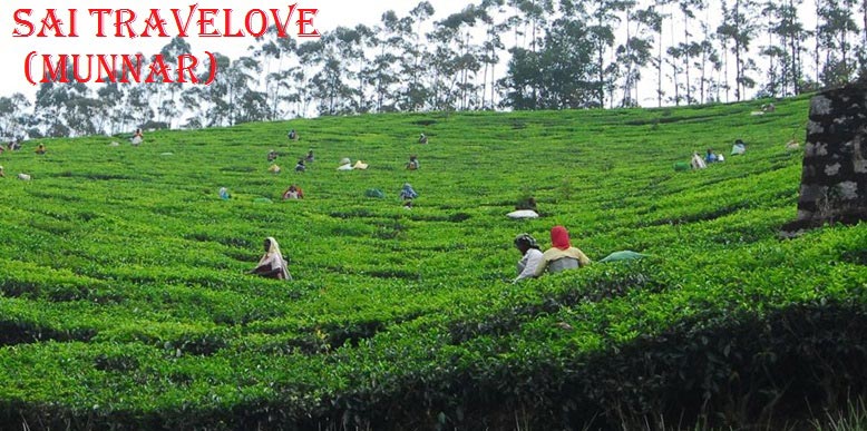 797 Cochin (1) Thekkady (2) Tour