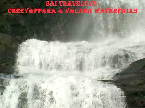 797 Cochin (1) Thekkady (2) Tour