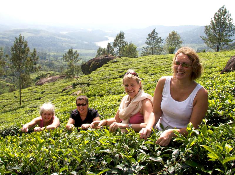 798 Cochin (1) Thekkady (1) House Boat (1) Tour