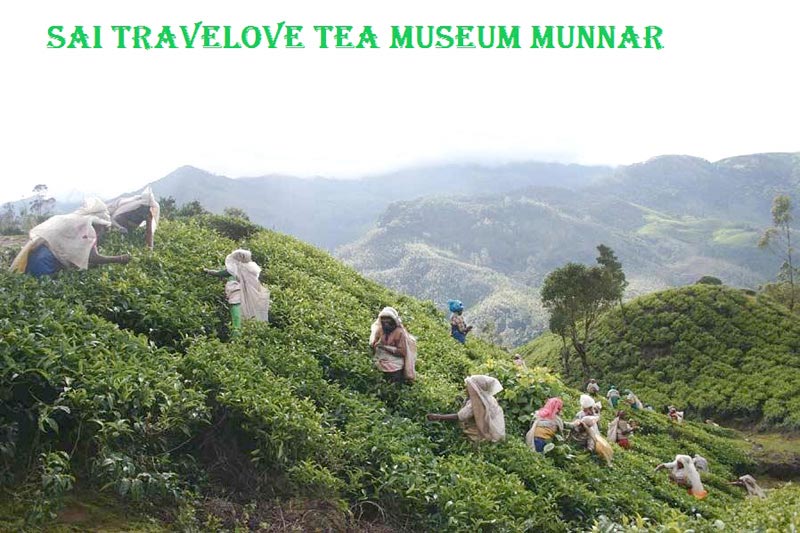 800 Cochin (1) Munnar (2) Thekkady (1) Tour