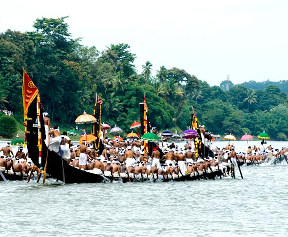 803 Kovalam (2) Alleppey (1) Kochin (1) Tour