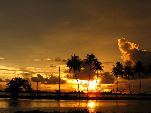 806 (2) Munnar / (1) Thekkady / (1) Alleppey / (1) House Boat Tour