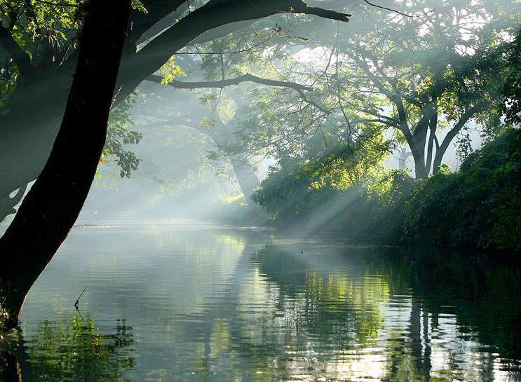 807 (1) Cochin / (2) Munnar / (1) Thekkady / (2) Kovalam Tour