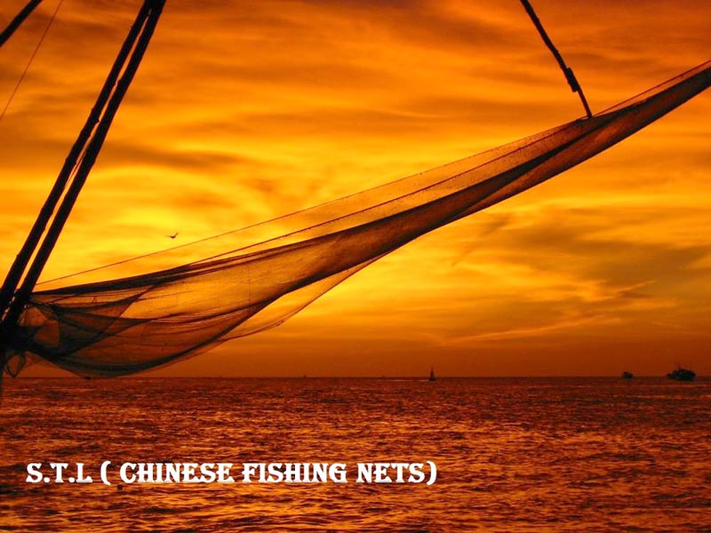 808 (1) Cochin (2) Munnar (1) Alleppey (2) Kovalam Tour