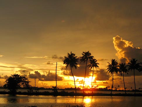 809 (1) Trivandrum (1) Kanyakumari (2) Kovalam (1) Alleppey (1) Cochin Tour