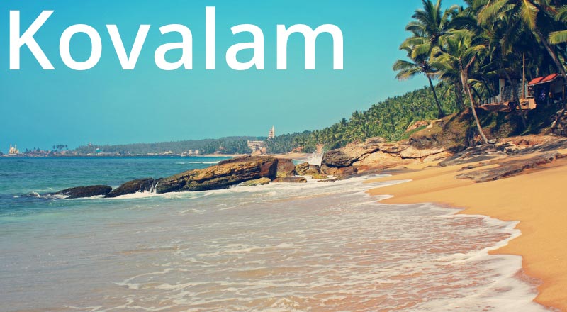 809 (1) Trivandrum (1) Kanyakumari (2) Kovalam (1) Alleppey (1) Cochin Tour