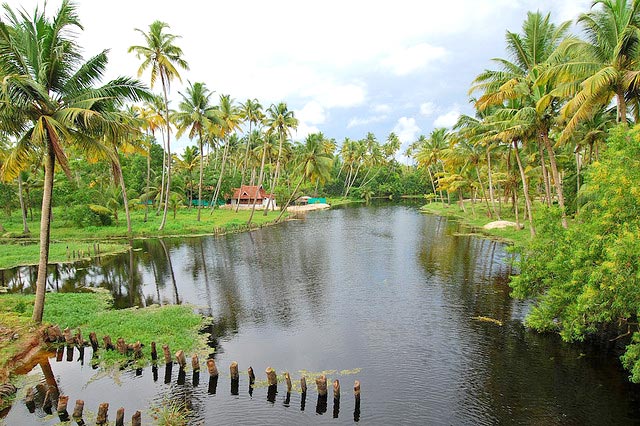 809 (1) Trivandrum (1) Kanyakumari (2) Kovalam (1) Alleppey (1) Cochin Tour