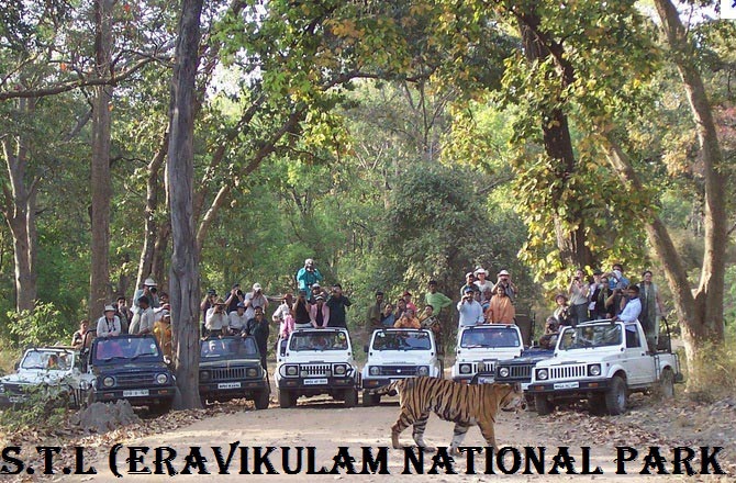 Cochin - Munnar - Thekkady - House Boat - Alleppey - Kovalam Tour