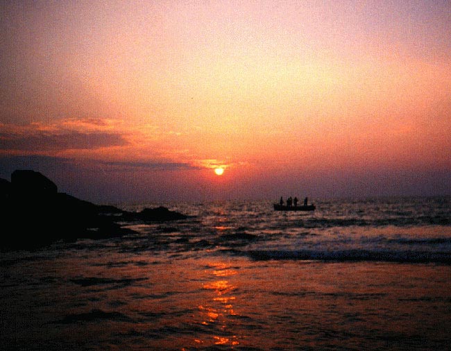 Cochin - Munnar - Thekkady - House Boat - Alleppey - Kovalam Tour