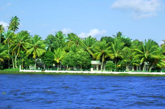 Cochin - Munnar - Thekkady - House Boat - Alleppey - Kovalam Tour