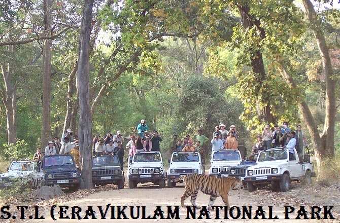 Cochin - Munnar - Thekkady - Alleppey - Kovalam - Kanyakumari Tour