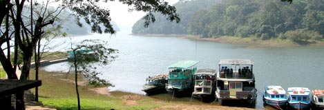 Cochin - Munnar - Thekkady - Alleppey - Kovalam - Kanyakumari Tour