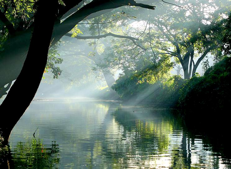 Cochin - Munnar - Thekkady - Alleppey - Kovalam - Kanyakumari Tour