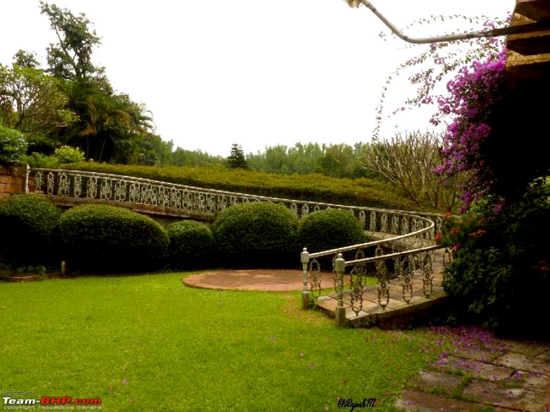 Bangalore - Kabini - Chikmagalur - Mysore Tour