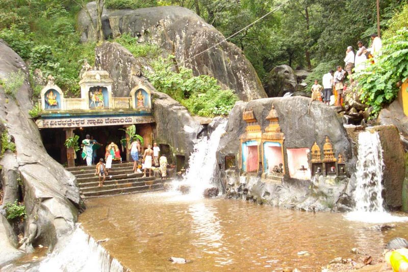 Bangalore - Kabini - Chikmagalur - Mysore Tour