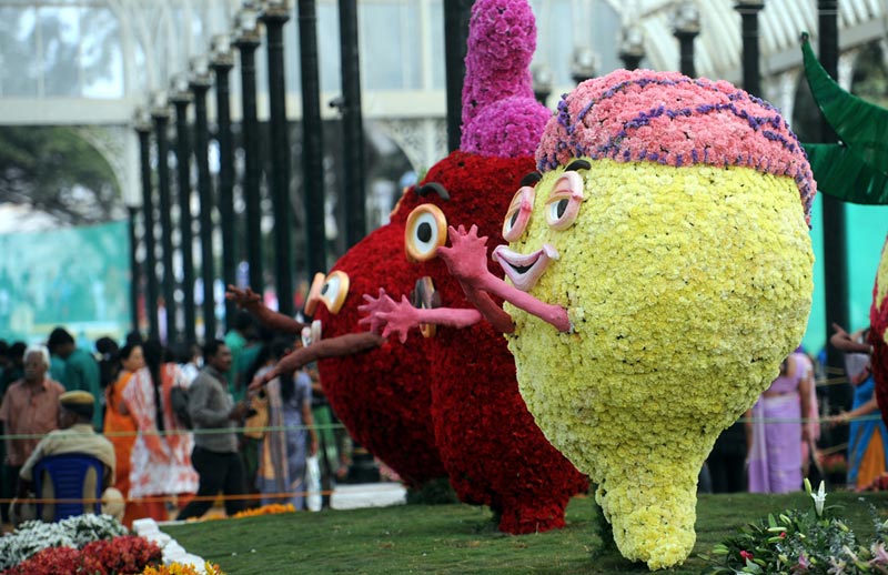 Bangalore - Kabini - Chikmagalur - Mysore Tour