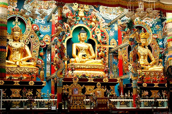 Mysore - Coorg - Kabini - Bandipur - Ooty - Bangalore Tour