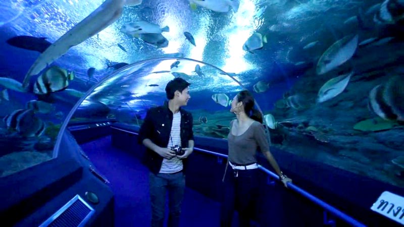 Delhi - Bangkok - Pattaya - Delhi Tour