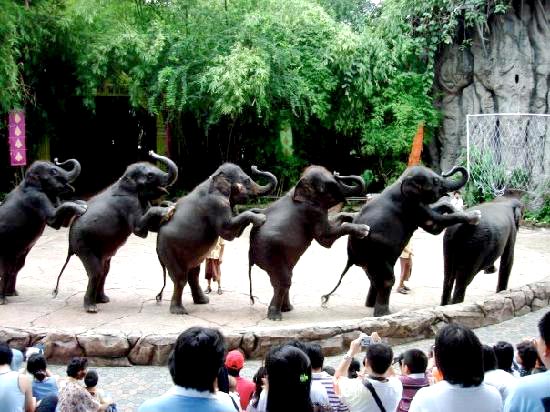 Delhi - Bangkok - Pattaya - Delhi Tour