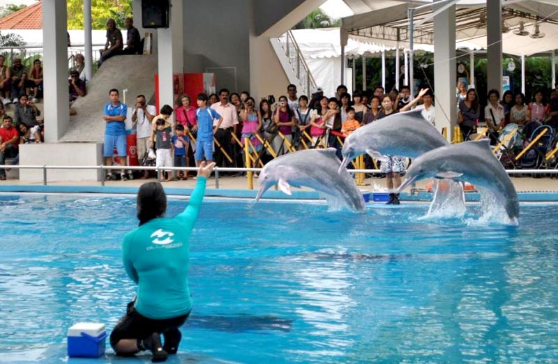 826 Singapore and Kuala Lumpur (7 Nights)