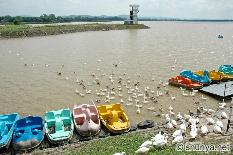 827 Delhi - Shimal (2N), Manali (3N), Dharamshala (1N)-Dalhousie (2N)-Amritsar (1)-Chandigarh (1N) T