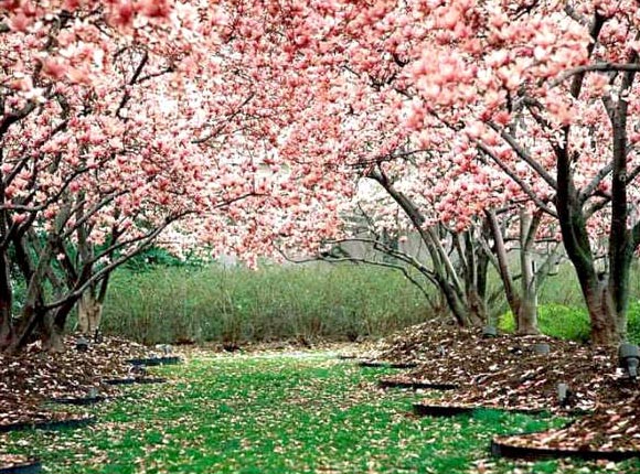 Jim Corbett - Nainital Tour