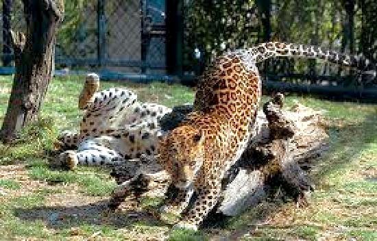 Jim Corbett - Nainital Tour