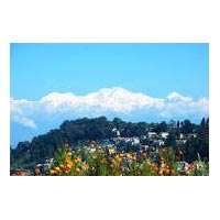 Darjeeling Economical/Affordable Tour