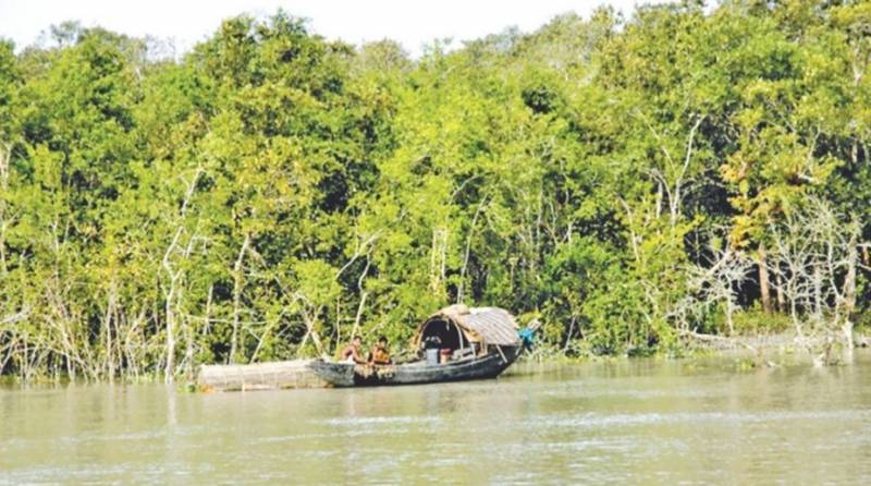 Sundarban Birding Tour  2 Nights 3 Days