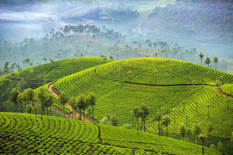 8 Night 9 Days Kerala Package.
