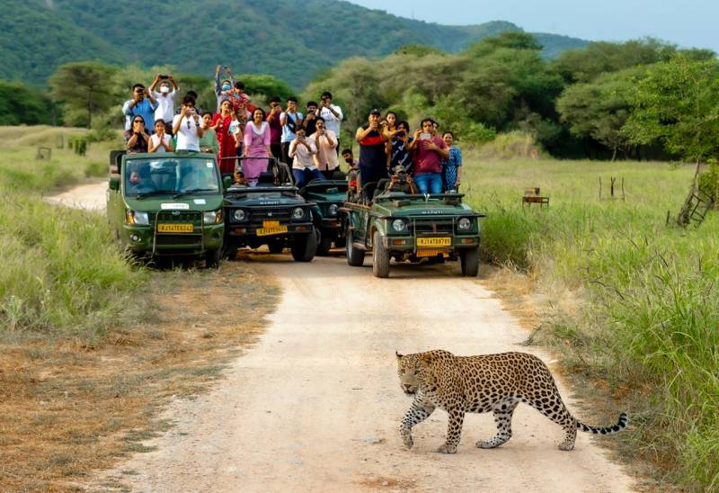 Rajasthan Leopard Safari Tour Package