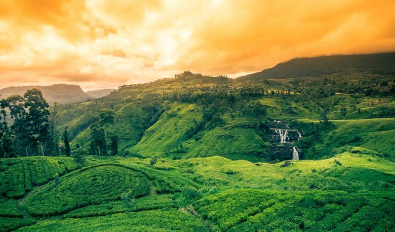 Scintillating Sri Lanka