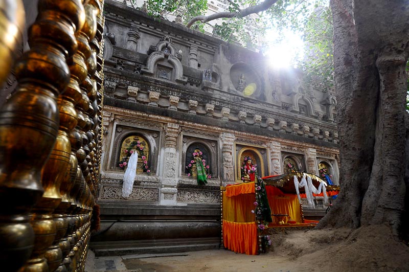 Buddha Steps With Tajmahal Tour