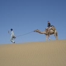 Half Day Safari Package Image