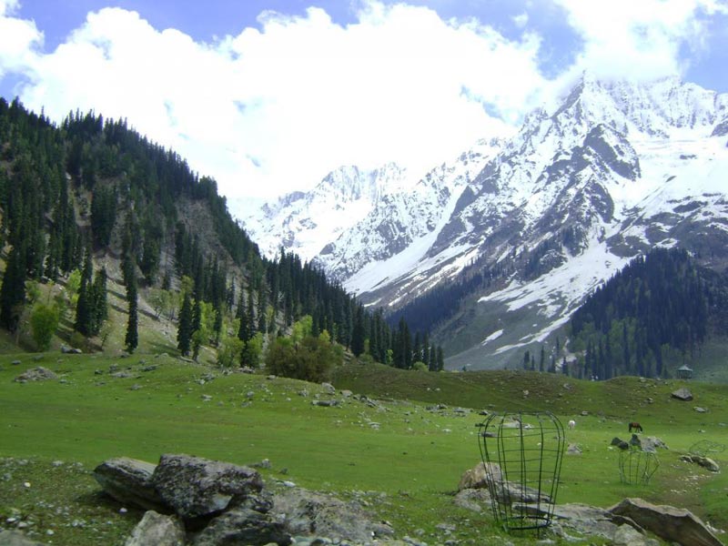 06 Nights / 07 Days  AMARNATH YATRA TREK FROM PAHALGAM