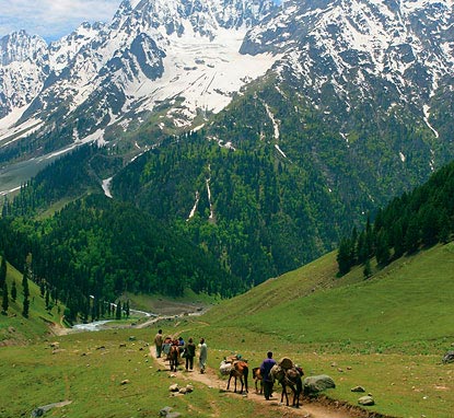 Trekking Tour in Kashmir - 09 Nights / 10 Days