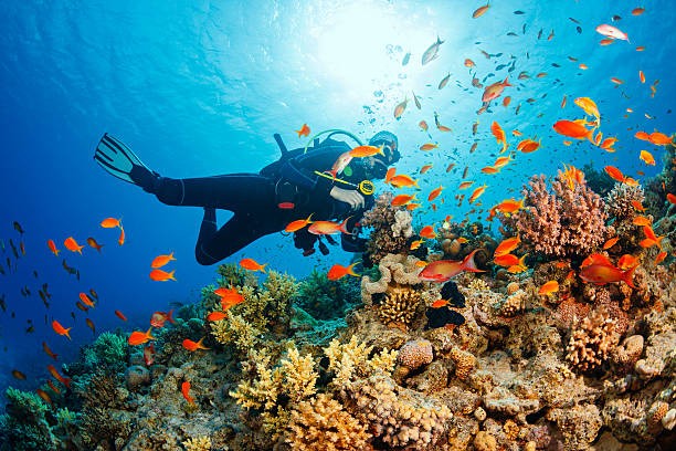 Scuba Diving with Water Sport Tour