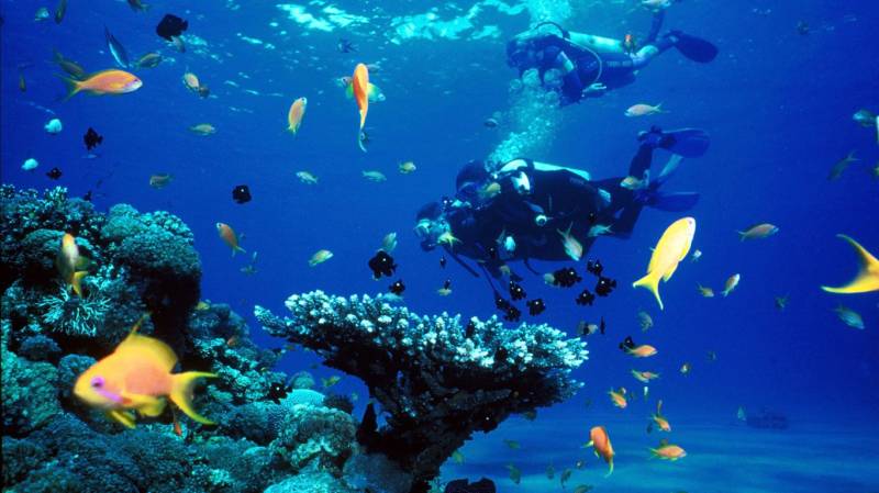 Scuba Diving with Water Sport Tour