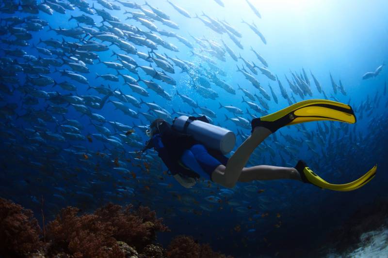 Scuba Diving Tour
