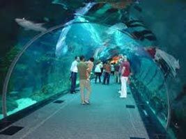 Mauritius and Dubai Tour