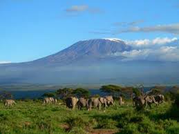 Serengeti And Ngorongoro Tour