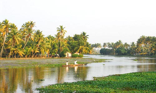 Kerala Backwaters - Houseboat n Backwater Resort in Kumarakom