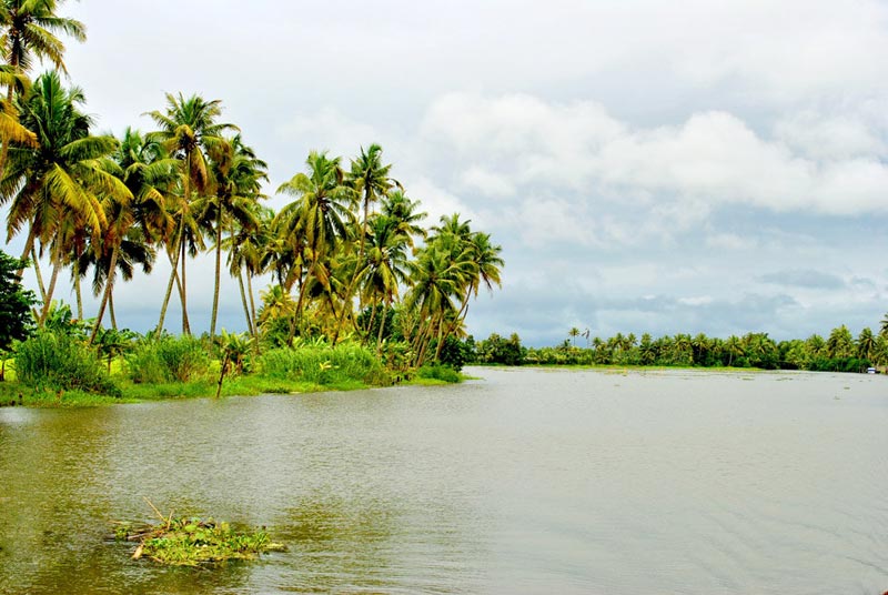 Kerala Hillstation, Wildlife and Backwaters