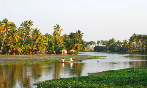 Backwaters and Beach Tour