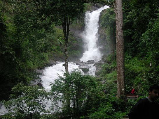 Honeymoon In Coorg From Bangalore Tour