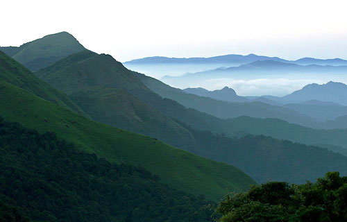 Honeymoon in Coorg from Bangalore Tour
